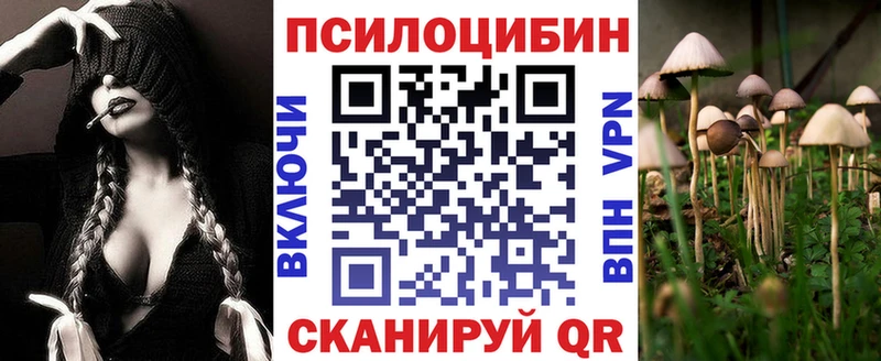 Псилоцибиновые грибы MAGIC MUSHROOMS купить закладку Щёлково